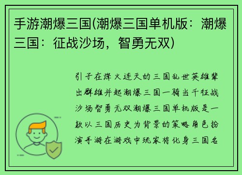 手游潮爆三国(潮爆三国单机版：潮爆三国：征战沙场，智勇无双)