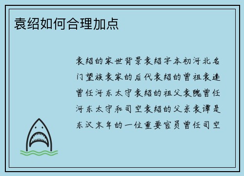 袁绍如何合理加点