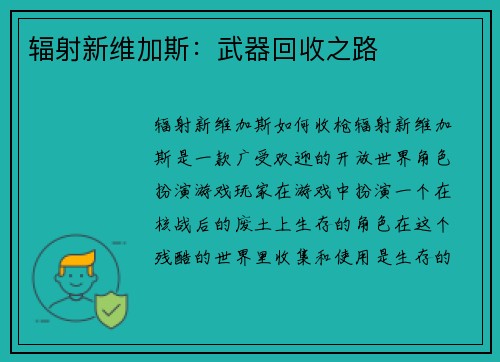 辐射新维加斯：武器回收之路